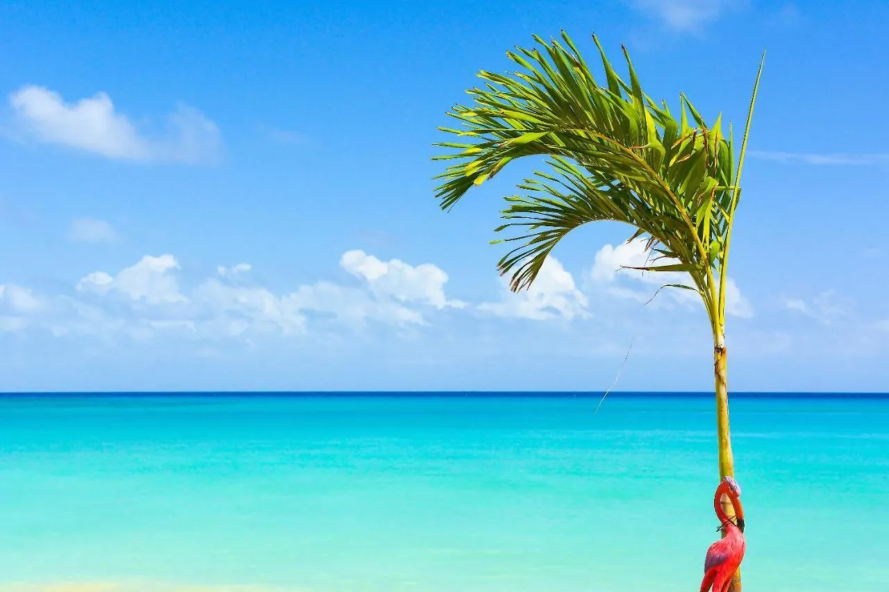 Kaz Kreol Beach Hotel Ocho Rios